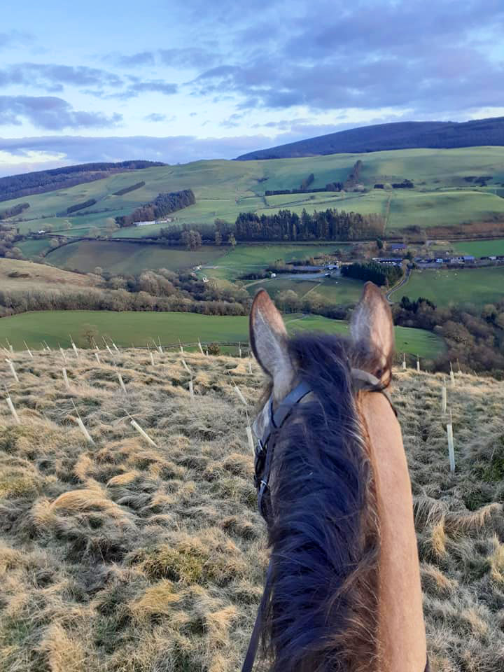 Hacking Out in the Hills